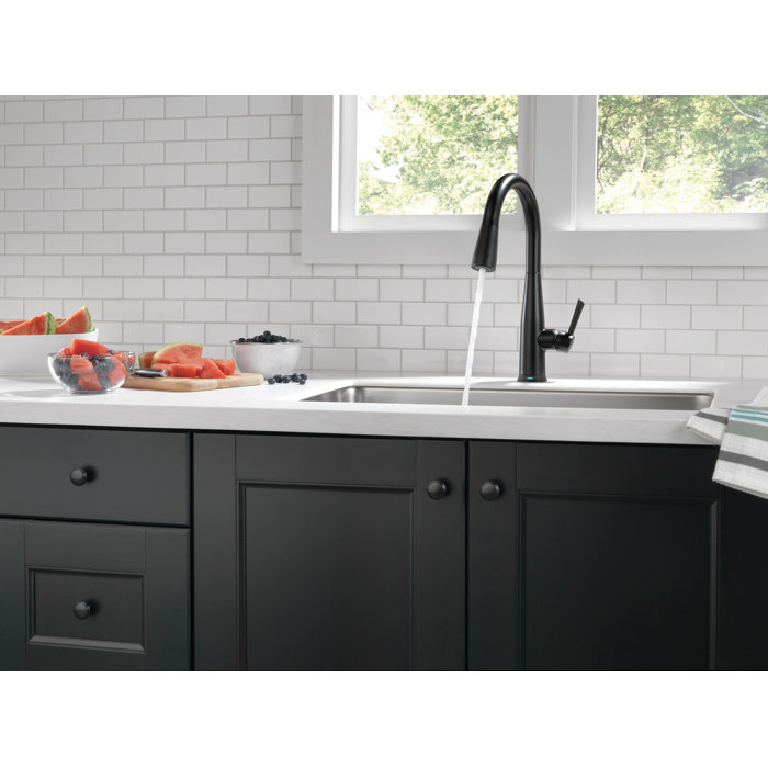9113TDST,BLDST,ARDST Delta Essa Pull Down Touch Kitchen Faucet